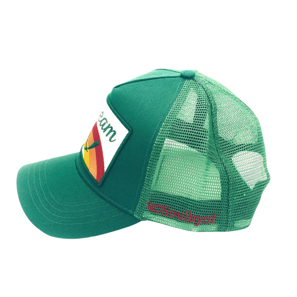 41_2b73cf63-104e-4cc8-b17f-45ea5512c944.png-2.webp