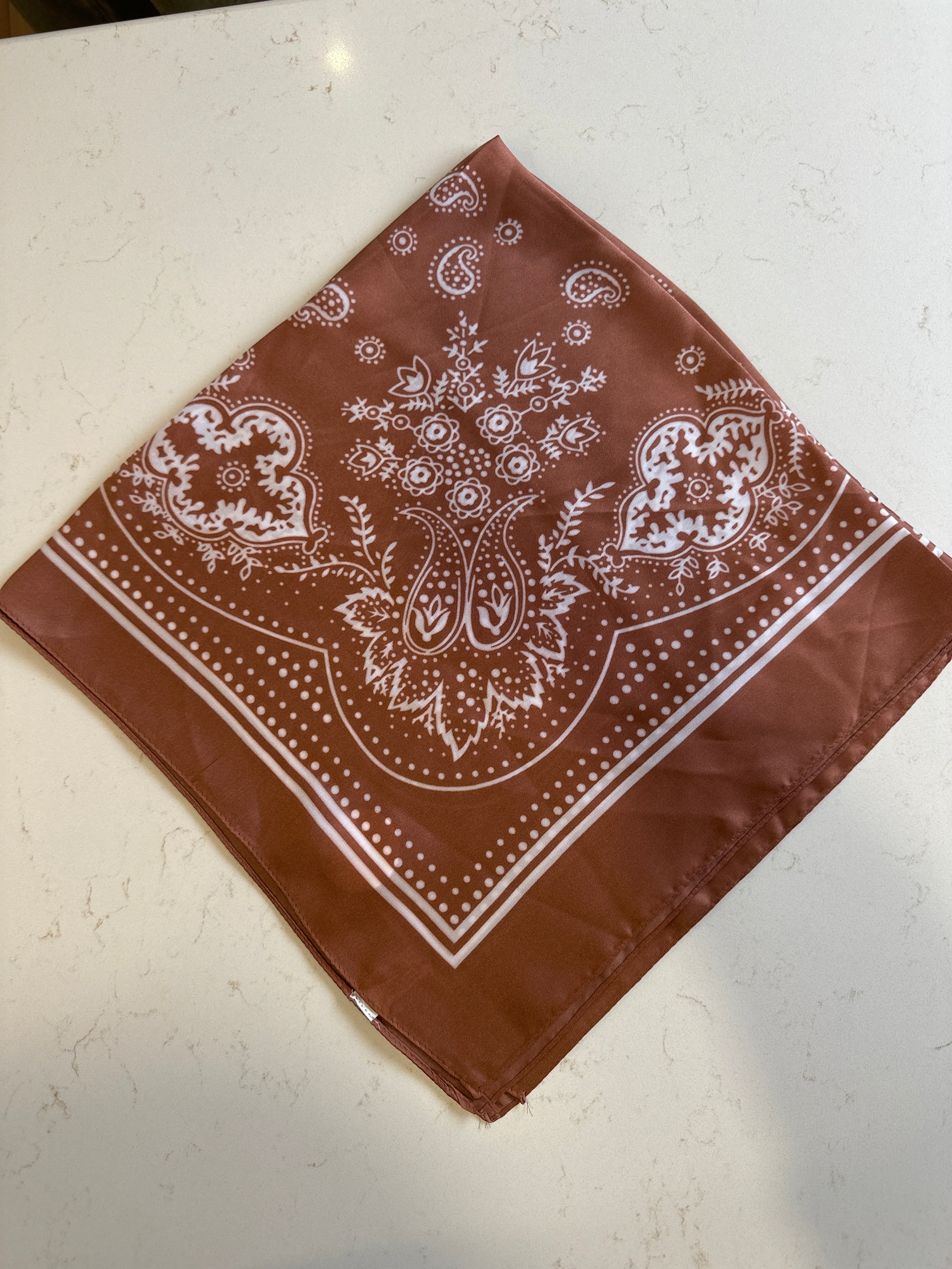 Paisley Bandana - Terracotta