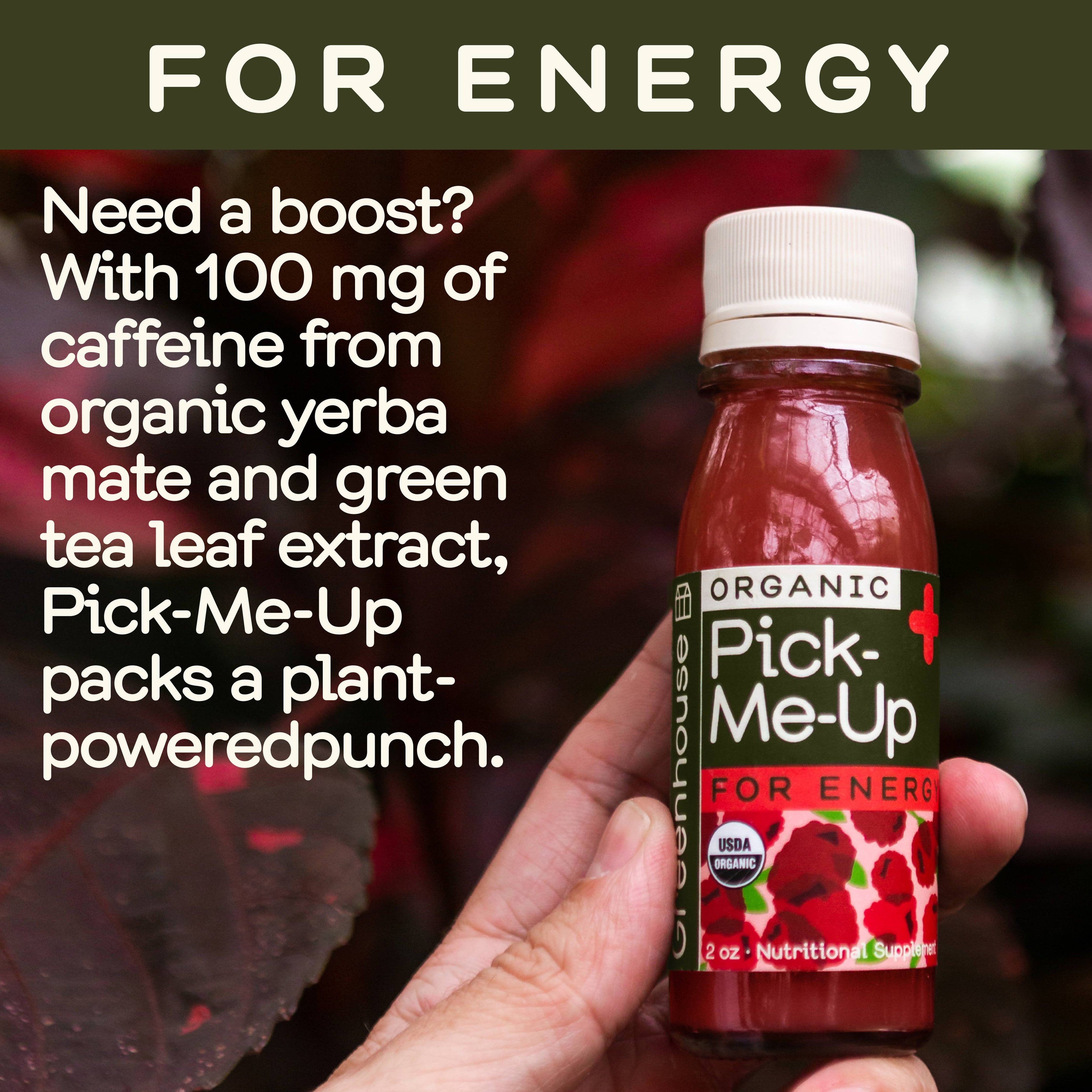 Greenhouse Pick-Me-Up Wellness Shot for Energy: Twelve Pack