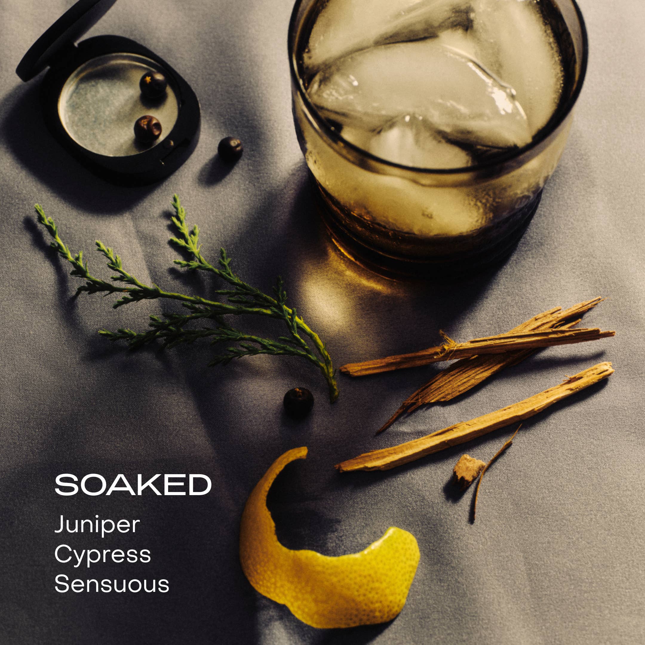 The Body Mist: BRALESS