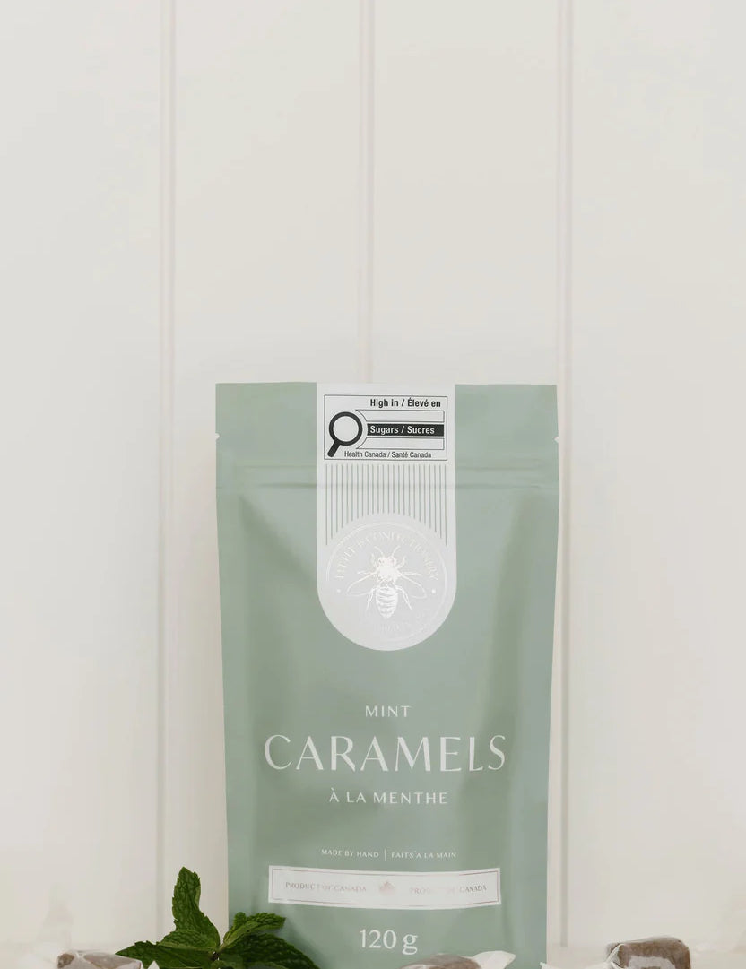 LittleB-011525-WebRes-mint.webp