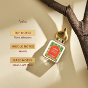 Amber Perfume Oil: 10ml Roll-on