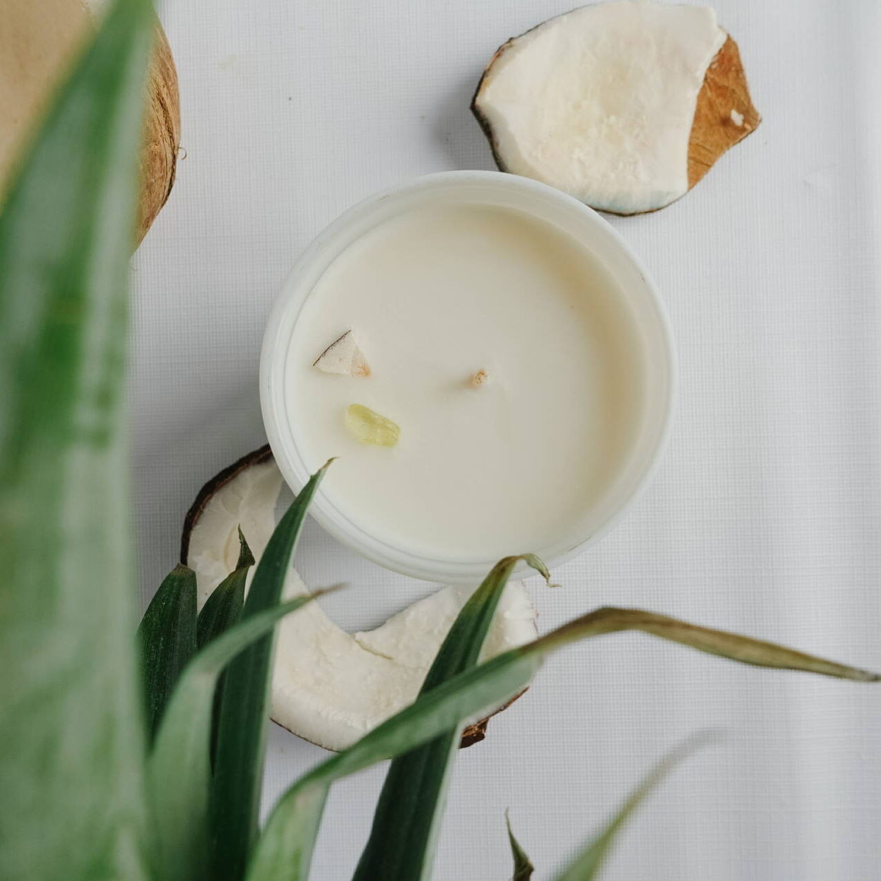 Whitetail Collections - Coastal Colada