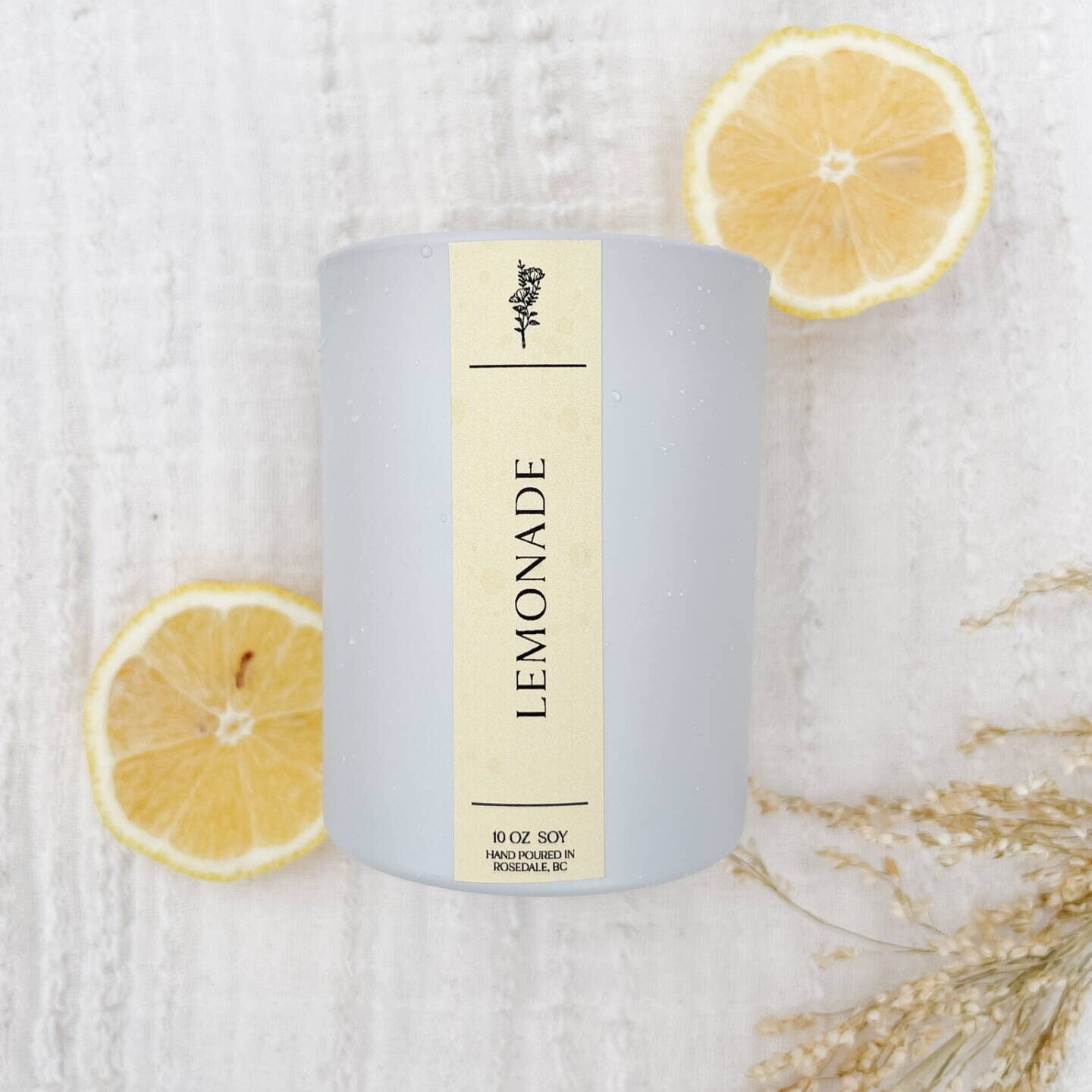 lemonade-side-e1725580678576.jpg