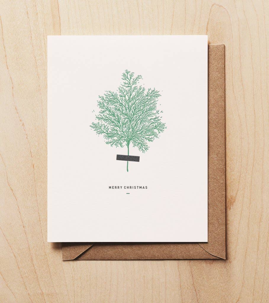 Christmas Cedar