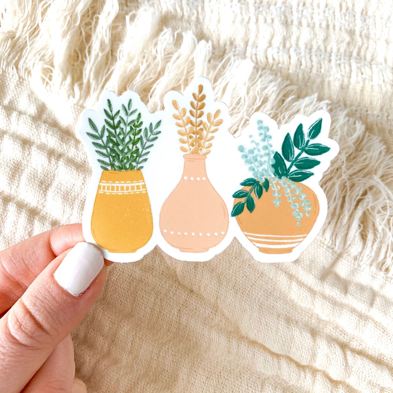 3 Terra Cotta Planters